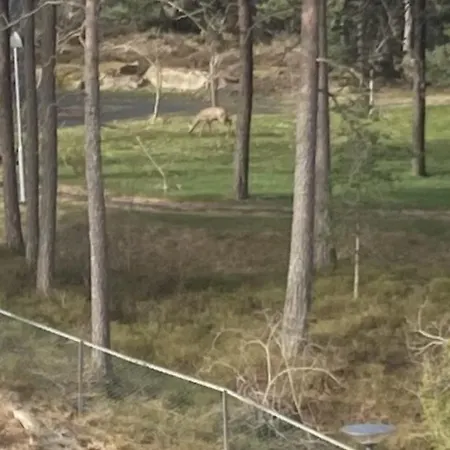 Bedroom&ensuite 홈스테이 *