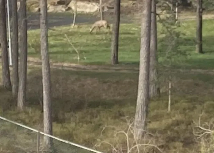 Bedroom&ensuite Privat overnatting *